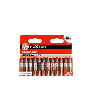 Piles Alcaline AAA FOXTER